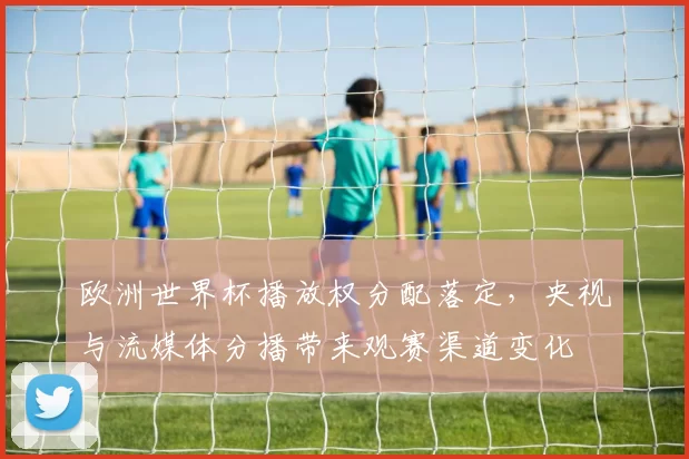 欧洲世界杯播放权分配落定，央视与流媒体分播带来观赛渠道变化
