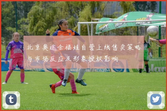 北京奥运会福娃自营上线售卖策略与市场反应及形象授权影响