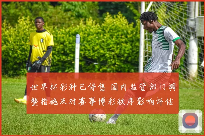 世界杯彩种已停售 国内监管部门调整措施及对赛事博彩秩序影响评估