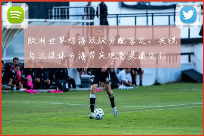 欧洲世界杯播放权分配落定，央视与流媒体分播带来观赛渠道变化