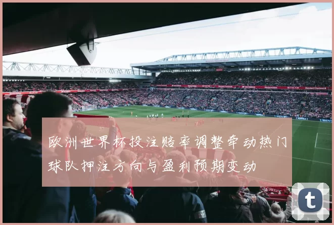 欧洲世界杯投注赔率调整牵动热门球队押注方向与盈利预期变动