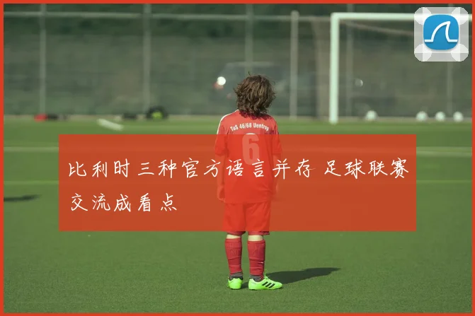 比利时三种官方语言并存 足球联赛交流成看点