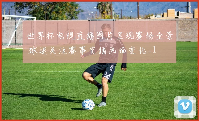 世界杯电视直播图片呈现赛场全景 球迷关注赛事直播画面变化_1