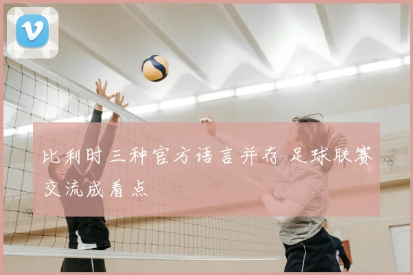 比利时三种官方语言并存 足球联赛交流成看点